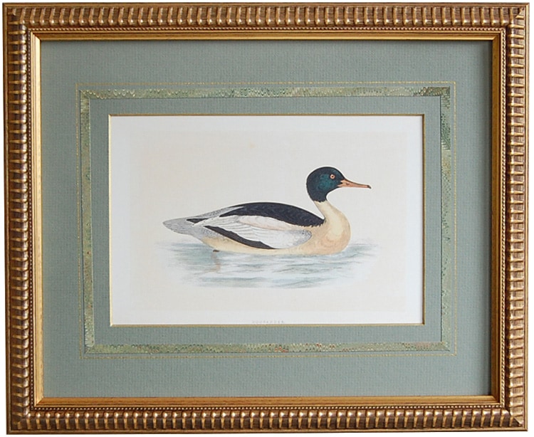 ���ѹ��Ļ��֥��異������