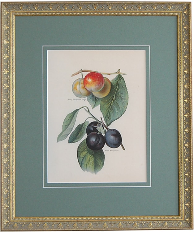 ʣ����ֲ̼����ݤμ�����ץץ��