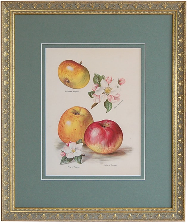 ʣ����ֲ̼����ݤμ�����ץ��åץ�(���1)