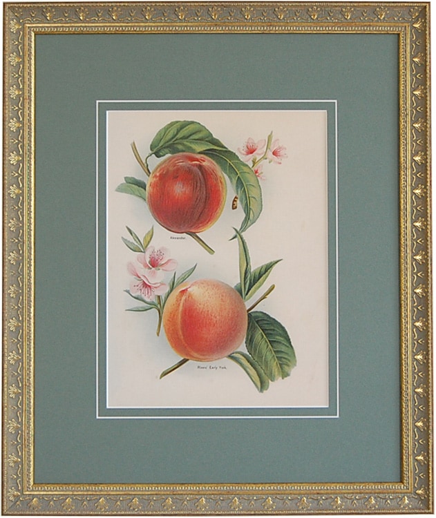 ʣ����ֲ̼����ݤμ�����ץԡ���(��2)