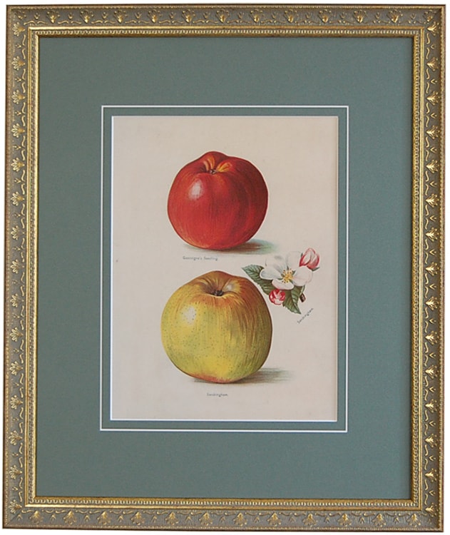 ʣ����ֲ̼����ݤμ�����ץ��åץ�(���2)