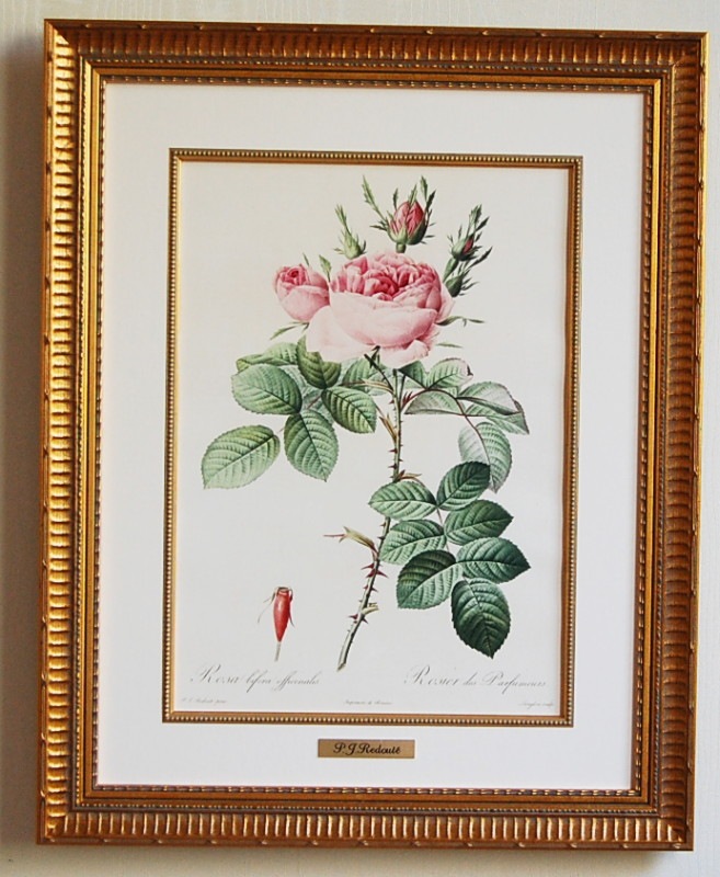 ��ɥ����ơֹ��ΥХ����