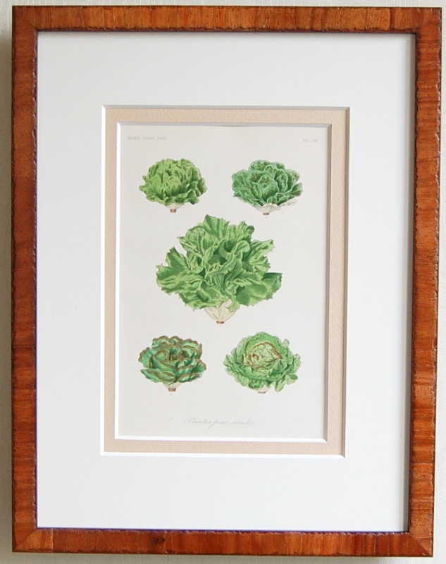 �ֺڱ��No.20 �쥿��