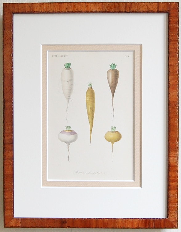 �ֺڱ��No.04 ����