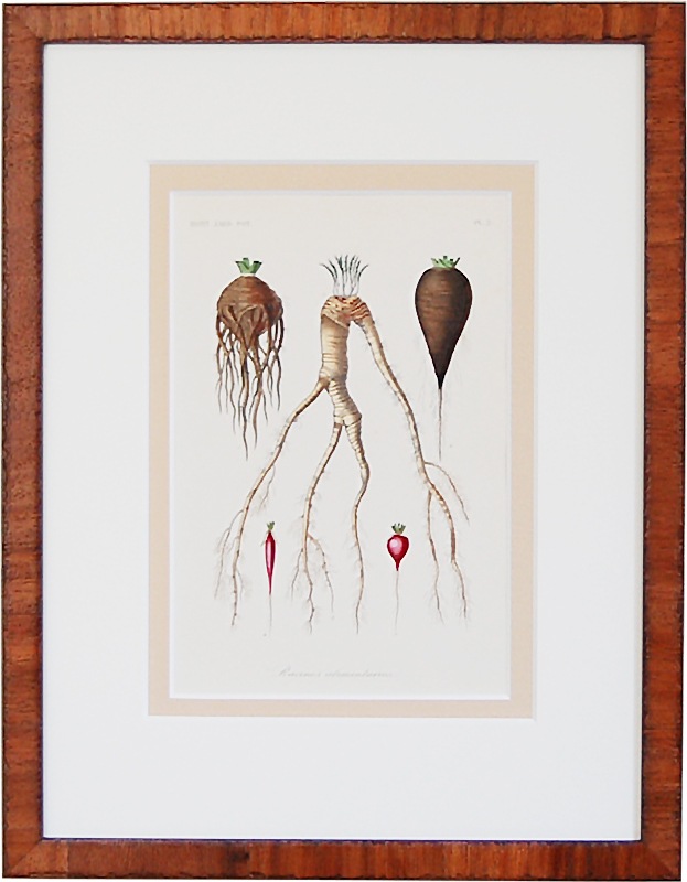 �ֺڱ��No.02 ���� ������κ����蘆�ӡ����纬����ǥ��å���