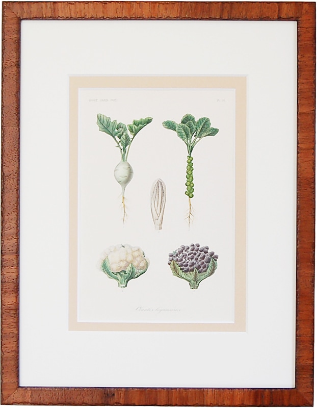 H. �ֺڱ��No.11 ����ե�,�֥��å��꡼