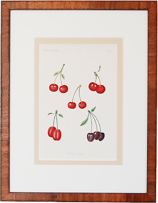 J. �ֺڱ��No.28 ��������