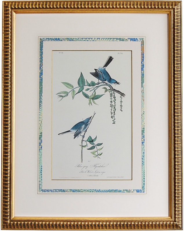 ꥫĻ֥֥롼졼ե饤å㡼