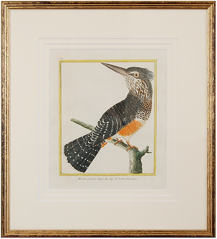 �ޥ���͡�Ļ�μ������1770-83ǯ���� No.679 ��˾���Υ����ꥫ�糧�ߡ�59,800�ߤ�20%OFF)