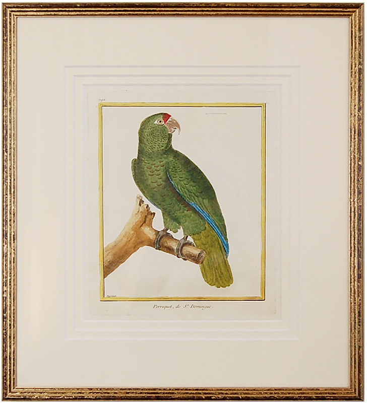 �ޥ���͡�Ļ�μ������1770-83ǯ���� No.792 �ɥߥ˥��Υ������59,800�ߤ�20%OFF)