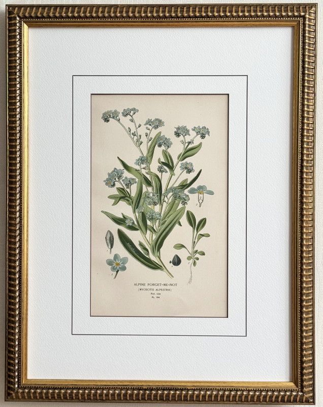���ƥåס֤���������β֤�����1897ǯ����No.194 ����ץ���˺�����