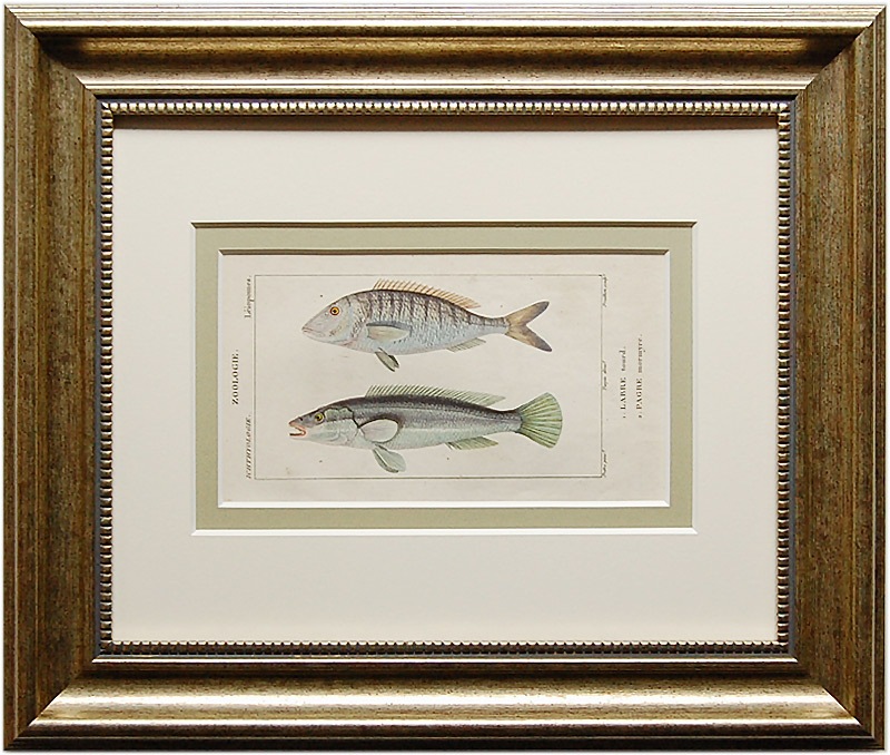 �ƥ��ѥ�ּ����ʳػ�ŵ�׵�����(1816ǯ���Ǹ��ܡ� : �٥顢�ѥ����19,800�ߤ�20%OFF��