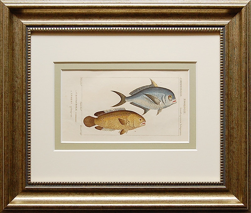 �ƥ��ѥ�ּ����ʳػ�ŵ�׵�����(1816ǯ���Ǹ��ܡ� : ���Υܥꥦ������19,800�ߤ�20%OFF��