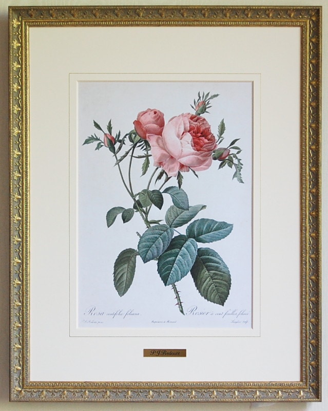 [��]��ɥ����ơ֥ե��ꥢ��������