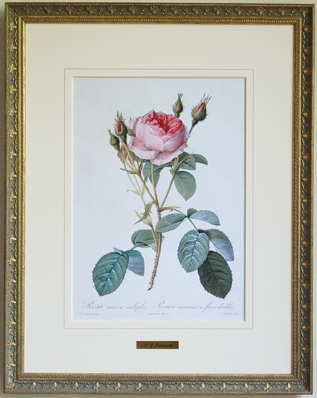 P.J.ルドゥーテ　薔薇　プリント　絵　額 ルドゥーテ 薔薇の額絵 壁掛け 額縁 可愛い アンティーク風 バラ
