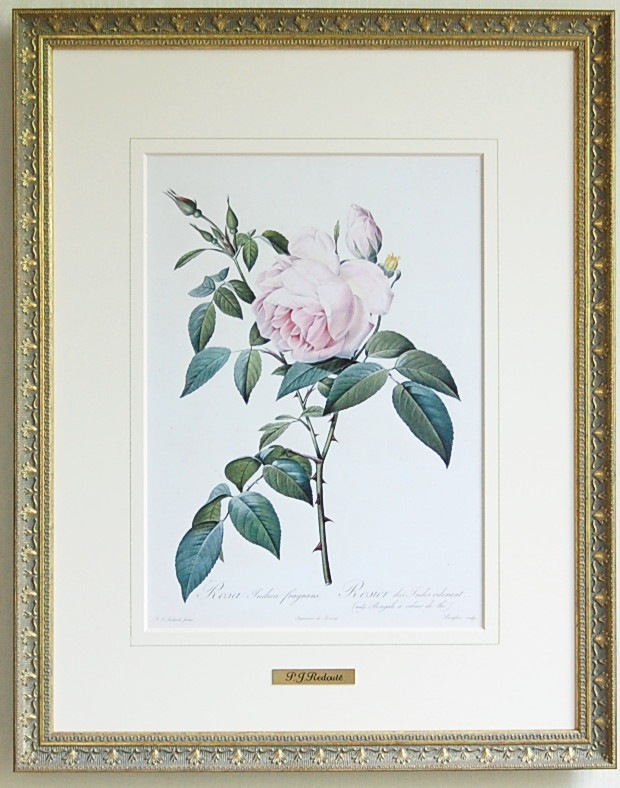 P.J.ルドゥーテ　薔薇　プリント　絵　額 P.J.ルドゥーテ 薔薇 プリント 絵 額 P.J.ルドゥーテ 薔薇