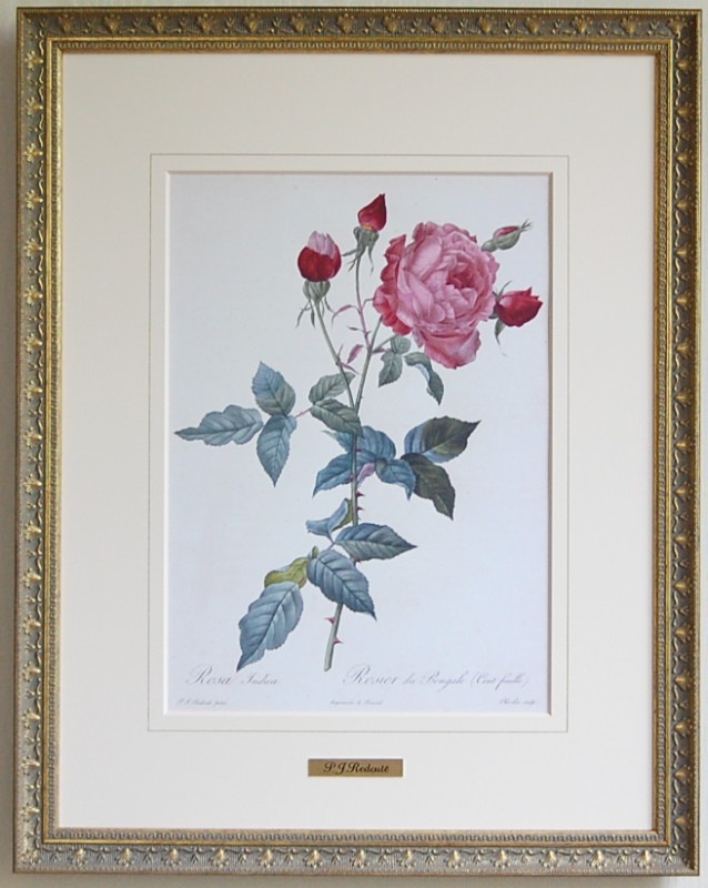 P.J.ルドゥーテ 薔薇 プリント 絵 額 P.J.ルドゥーテ薔薇