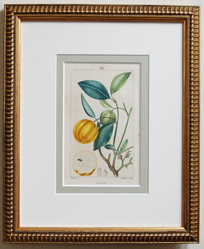 �ƥ��ѥ�����ѿ�ʪ�����No.192 �� 1817ǯ���ܡ�17,800�ߤ�30%OFF��