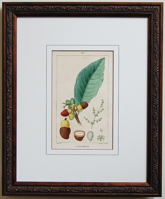 ƥѥѿʪNo.021 塼ʥå 1817ǯܡ17,800ߤ30%OFF