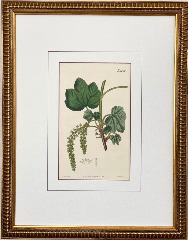 �����ƥ�������No.2368 �֥������