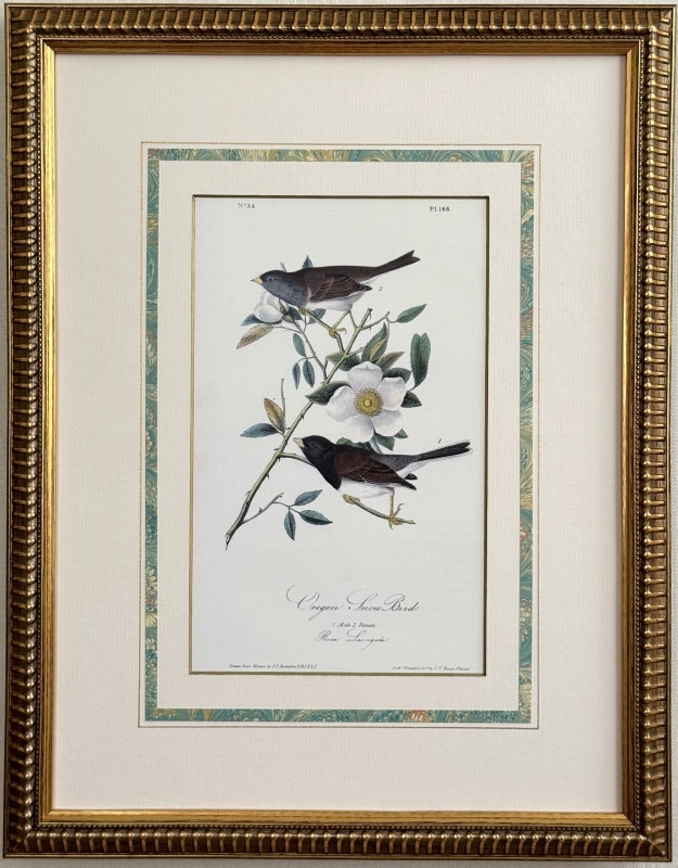 ꥫĻ֥쥴󡦥ΡСɡ