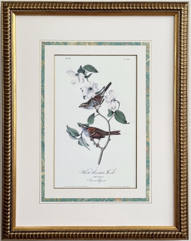 ꥫĻ֥ۥ磻ȥƥåɡե