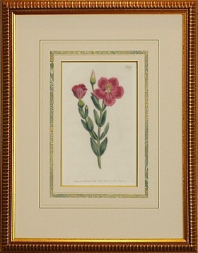 ƥNo.707֥˥2(41,000ߤ20%OFF