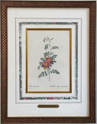 RD9 ��ɥ����ơ֥���������ԡ��ʡ��ǥӥꥹ�׸���(�����Ѥ�)