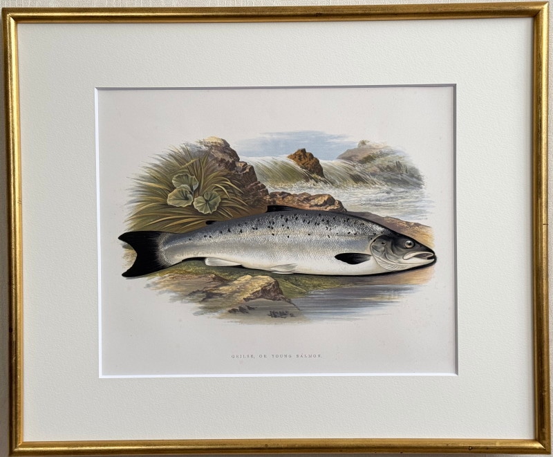 イタリア画家サルボ「エーゲ海への細道」シルクスクリーン版画 本人