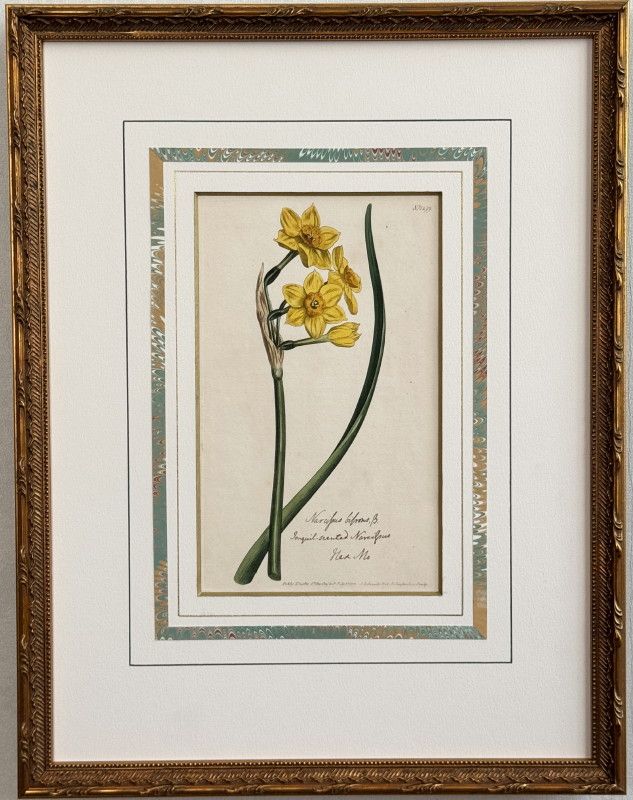 �����ƥ������� ���̳��� No.1299 ��������