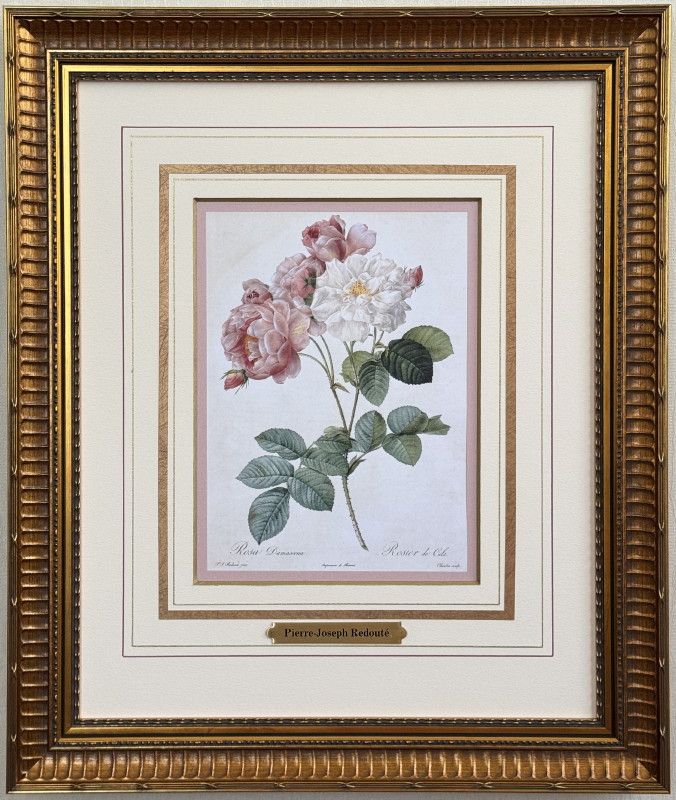 ��ɥ�����"�Х����"�極���� ���̹�ڳ����֥��������ޥ����ʡץ��ޥ��������� ��ʸ������