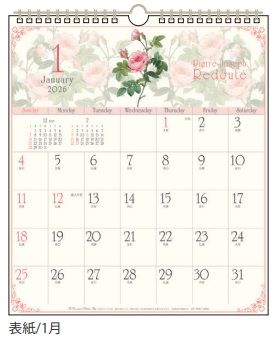 ɥ ХΥ2026ǯ塼ɳݤ30