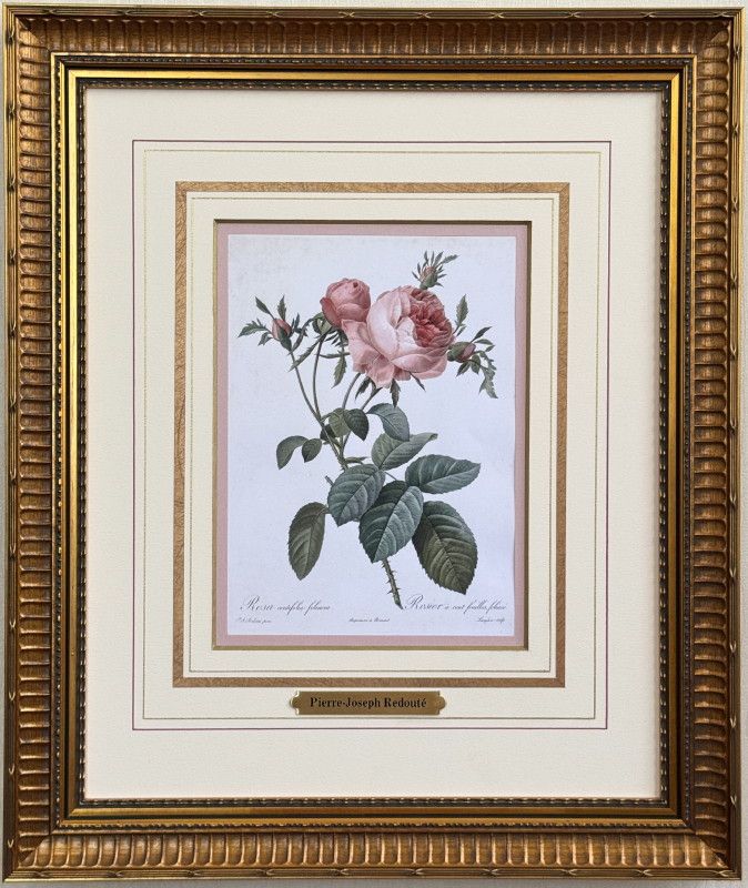 ��ɥ�����"�Х����"�極���� ���̹�ڳ����֥ե��ꥢ��������ʸ������