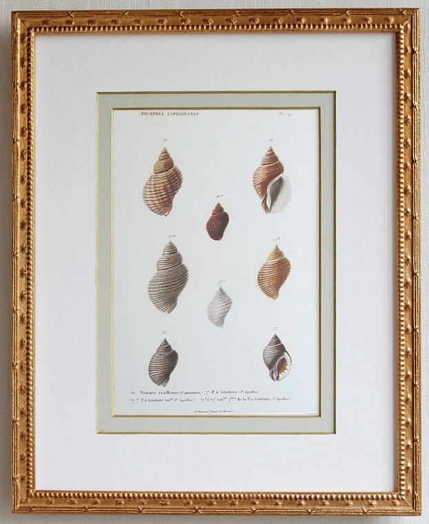 �����ʡ��ֳ��̤ο��� No.29�ץۥ磻��