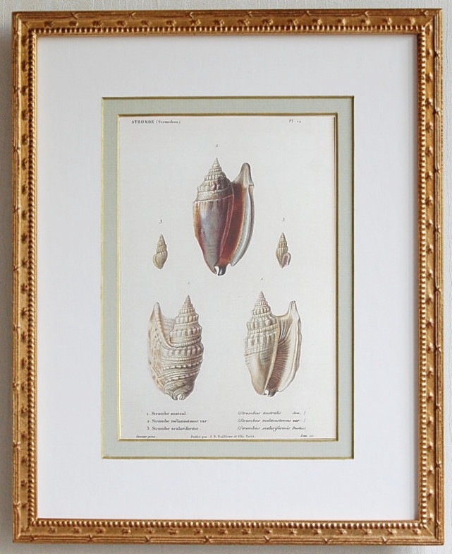 �����ʡ��ֳ��̤ο��� No.14�ץۥ磻��