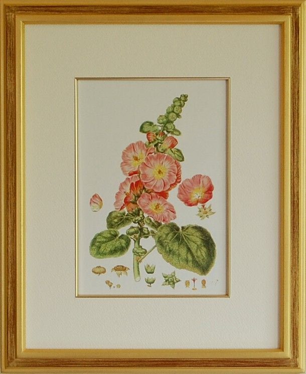 油絵 絵画 【夏のタチアオイ】 油絵 絵画 【夏のタチアオイ】 絵画 HR 通販 16369970｜Creema