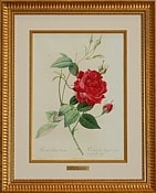 ��ɥ����ơֵ�²���֤��Х����