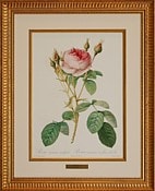 額装品　複製　ルドゥーテ　バラ　薔薇 楽天市場】絵画 インテリア ルドゥーテ ローズ 絵額 複製画