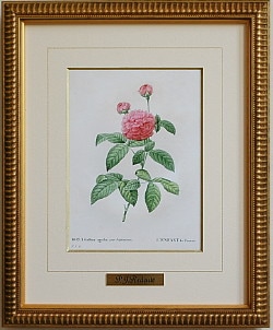 ��ɥ����ơ֥ե�󥹤λҡץ١�����