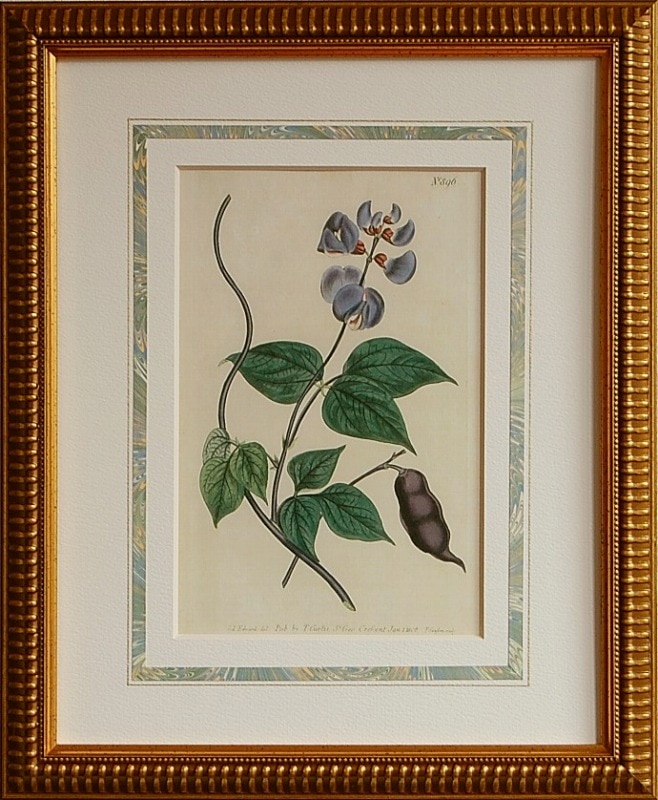 No.0896 �ե��ޥᡡ��