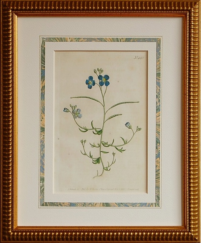 No.0496 �إꥪ�ե��顡��