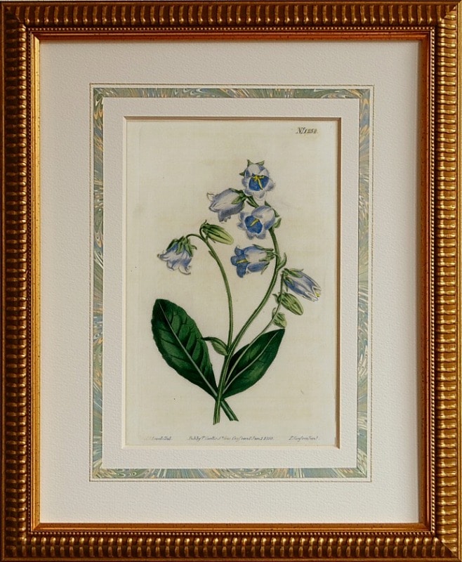 No.1258 ����ѥ˥�顡��
