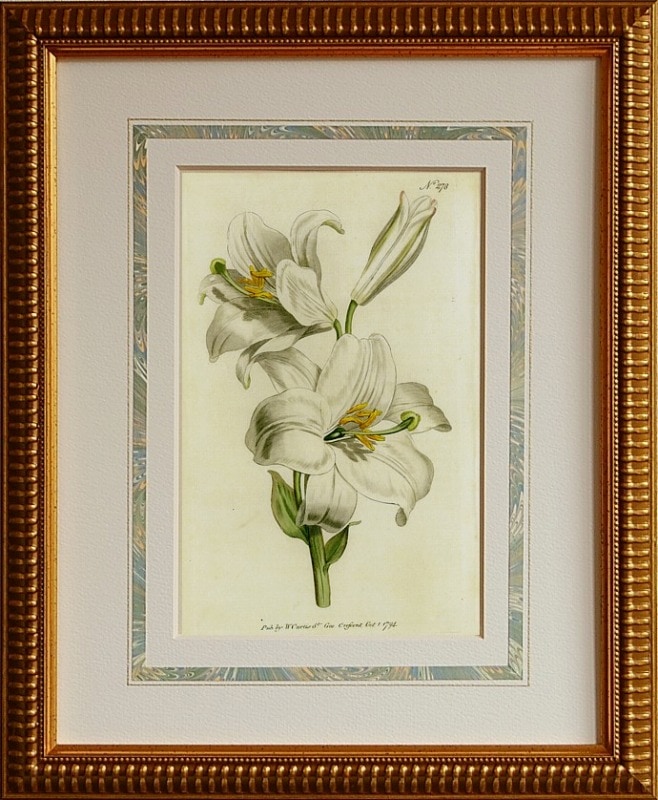 No.0278 ��ɴ�硡��