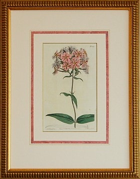 �����ƥ����֥ե��å�����������ʡ���