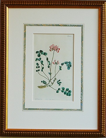 �����ƥ���No.1350 ��󥲥���