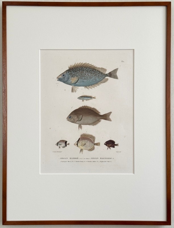 ե쥷֥͡ˡ椪ӥե̹ҵϿ1824ǯǸ No.62 88,000ߤ10%OFF)