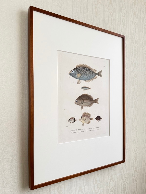 ե쥷֥͡ˡ椪ӥե̹ҵϿ1824ǯǸ No.62 88,000ߤ10%OFF)