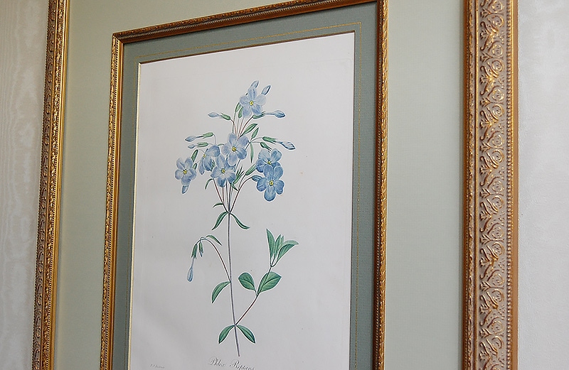 豪華な花画集。ルドゥーテ 「美花選 夏・秋」 豪華な花画集。ルドゥーテ 「美花選 夏・秋」 Amazon.co.jp: 美