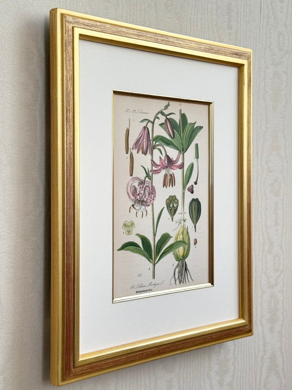 �ȡ���֥ɥ��ġ��������ȥꥢ���������ο�ʪ�׸��� No.114 �ޥ륿�����꡼