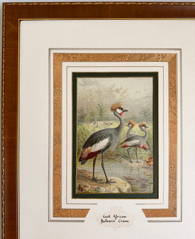 ѹز 4٤Х쥢쥹ĥ 1880ǯ 